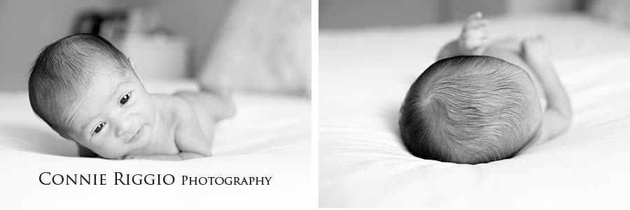 Baby Head Tacoma Newborn Family Photographer