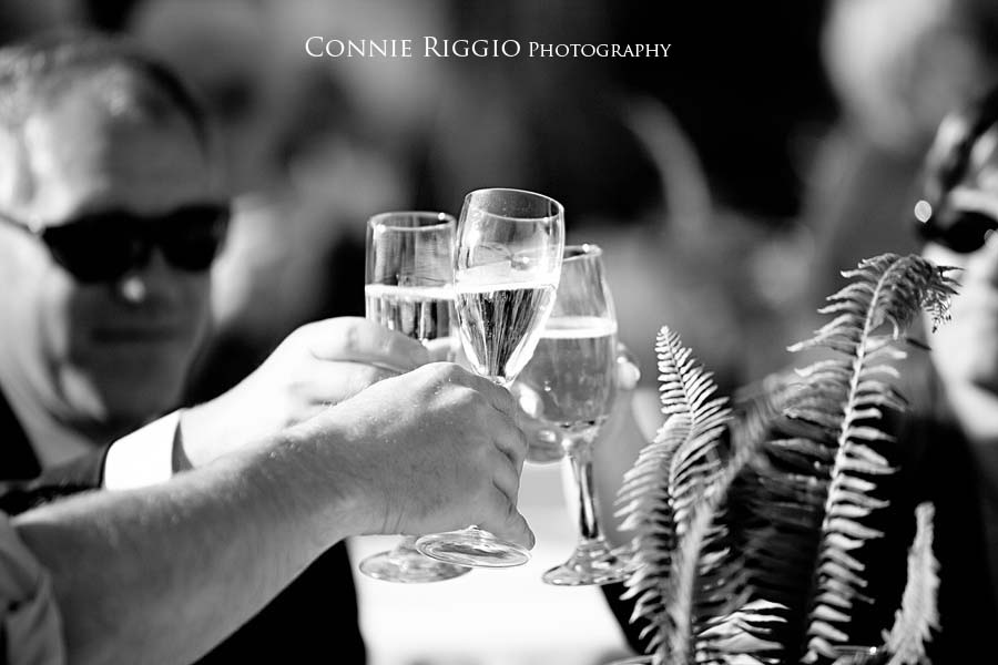 Tacoma Seattle Wedding Photographer