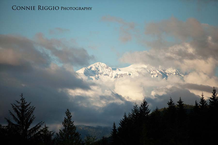 Tacoma Seattle Wedding Photographer