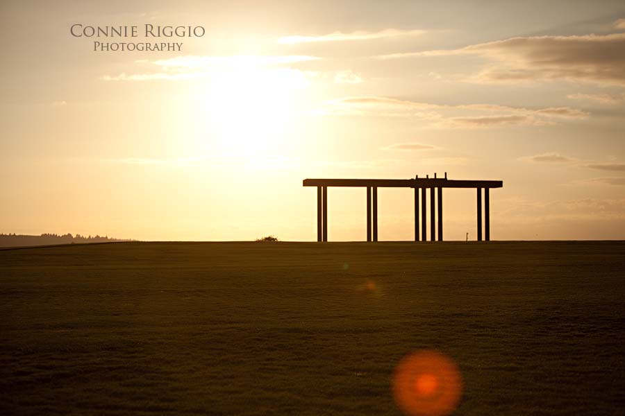 Pillars Tacoma Family Photographer