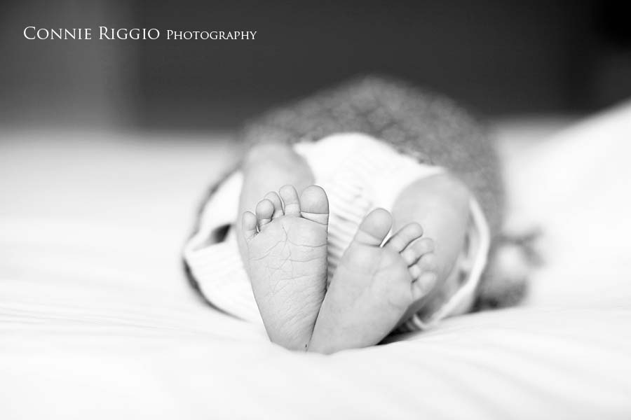 Feet Tacoma Newborn Family Photographer