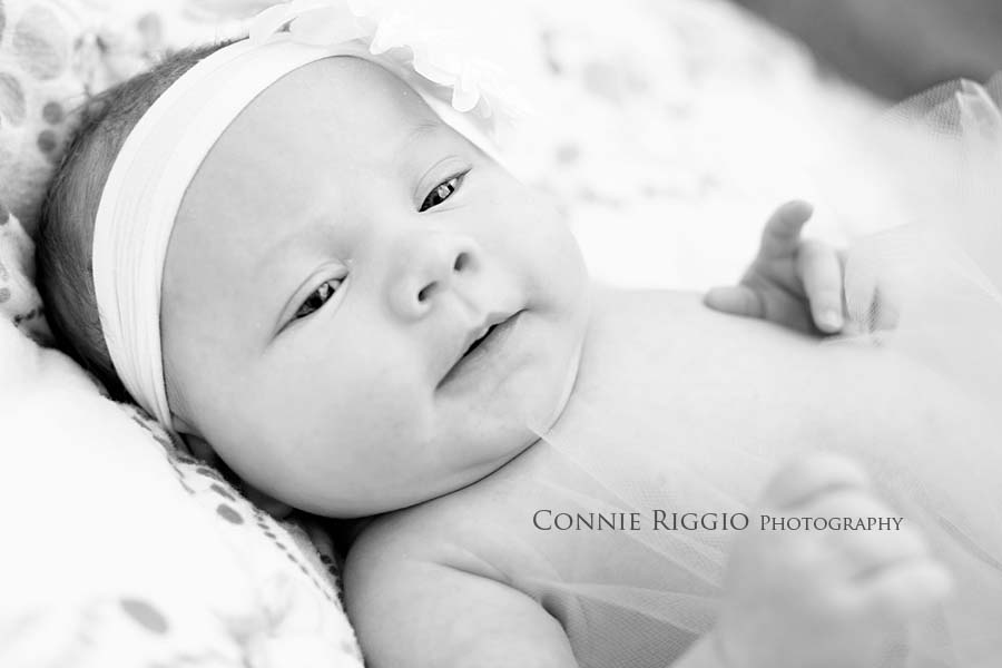 Tacoma Family Photographer