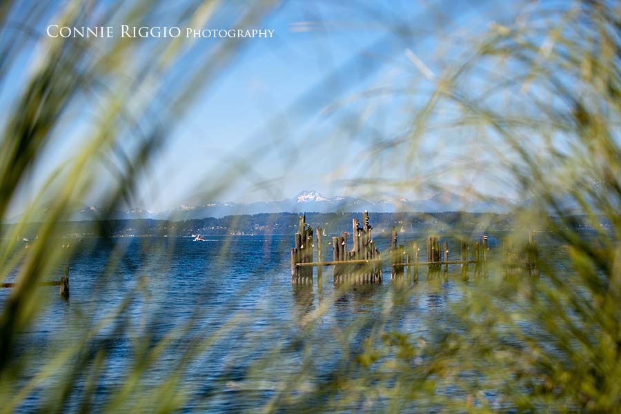 Tacoma Seattle Wedding Photographer