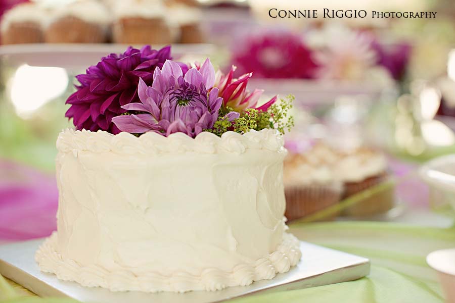 Cake Tacoma Seattle Wedding Photographer