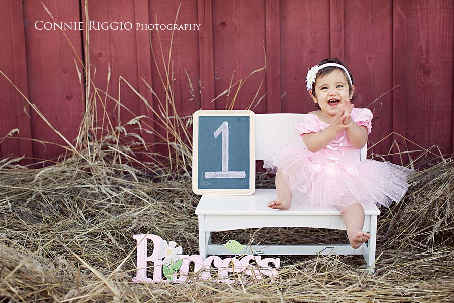 1st Birthday Tacoma Orting Family Photographer