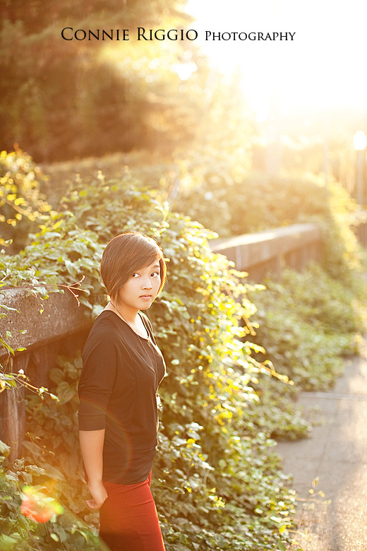 Sun drenched ivy bridge Tacoma Seattle Artistic Senior Portrait Photographer