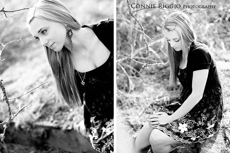 BW Meadow