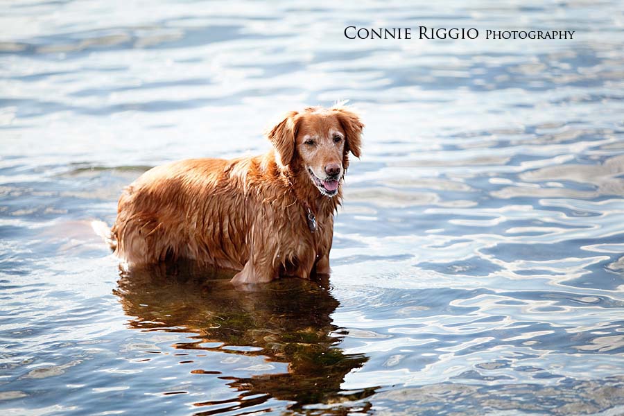 12 Tacoma Senior Photographer