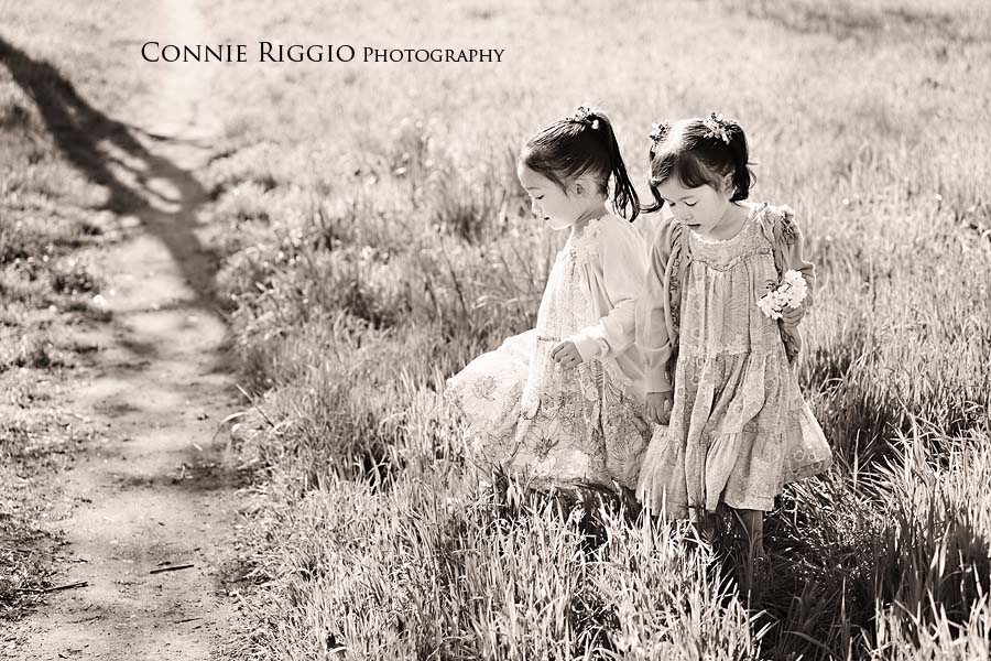 Tacoma Family Photographer