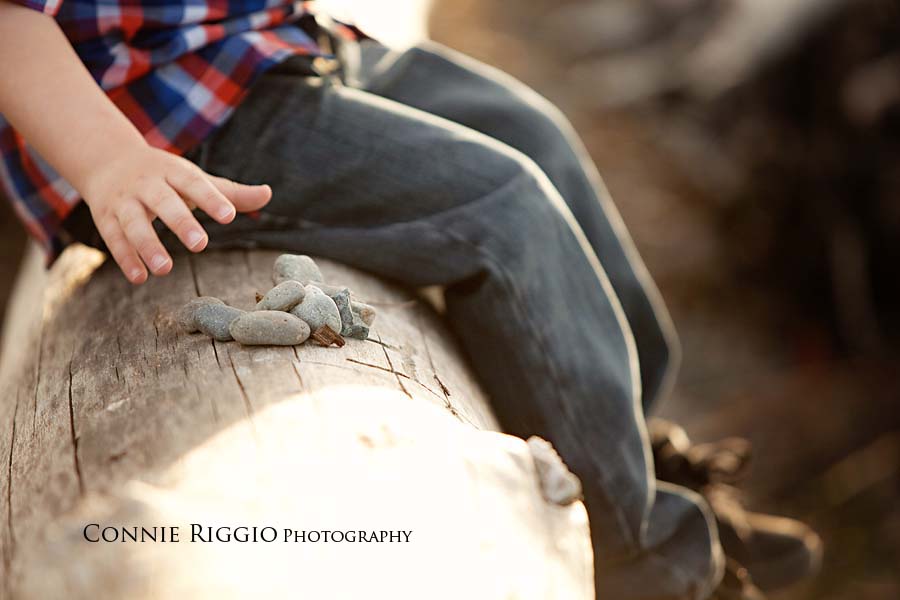 Tacoma Family Photographer