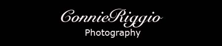 Connie Riggio Photography Blog logo
