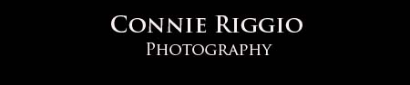 Connie Riggio Photography Blog logo