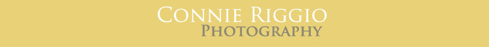 Connie Riggio Tacoma Photographer logo