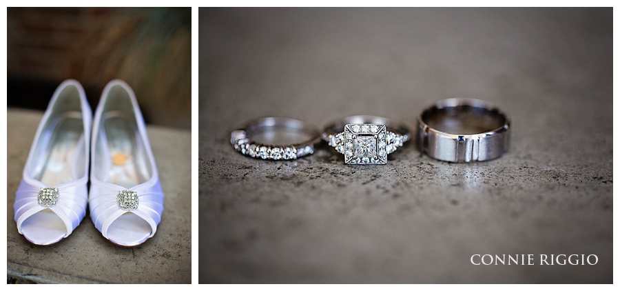 Stavig Barnes Wedding Tacoma Elks Club 2014_0007.jpg