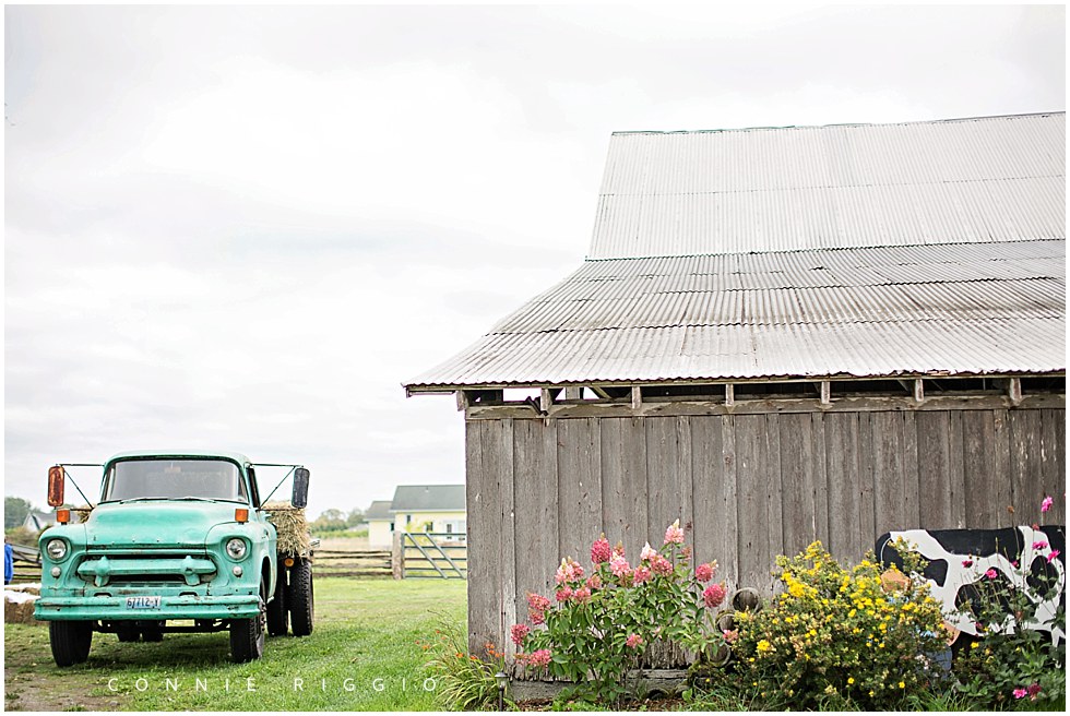 Wedding Sequim Eberle Farms Tacoma Photographer Lana Adam_0008.jpg