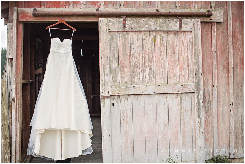 Wedding Sequim Eberle Farms Tacoma Photographer Lana Adam_0009.jpg