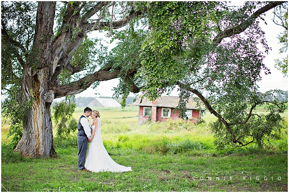 Wedding Sequim Eberle Farms Tacoma Photographer Lana Adam_0025.jpg
