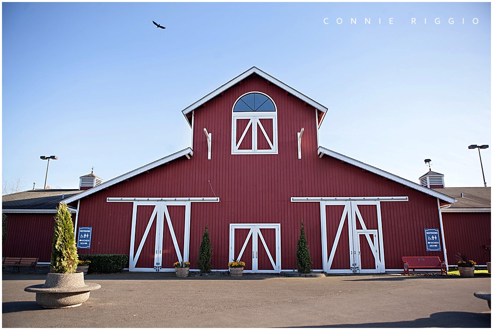 Wedding WA State Fair Farm Fall Photographer Jonny Amanda_0001.jpg