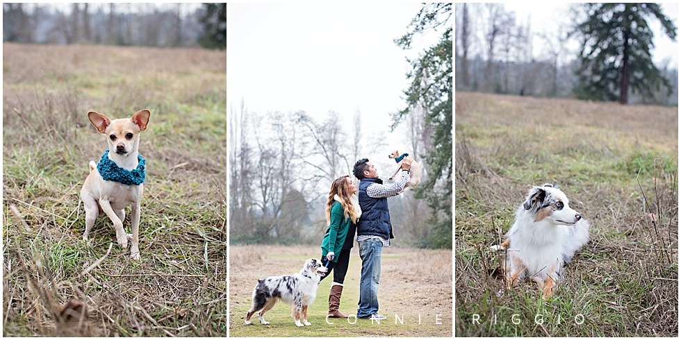 Family Tacoma Dog Photographer Ashley_0002.jpg