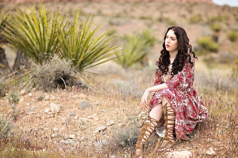 Girl Senior Red Rock Nevada Styled Tacoma Photographer Amanda_0007.jpg